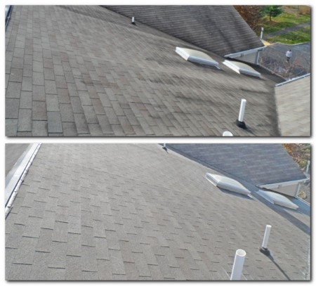 Commercial roof cleaner